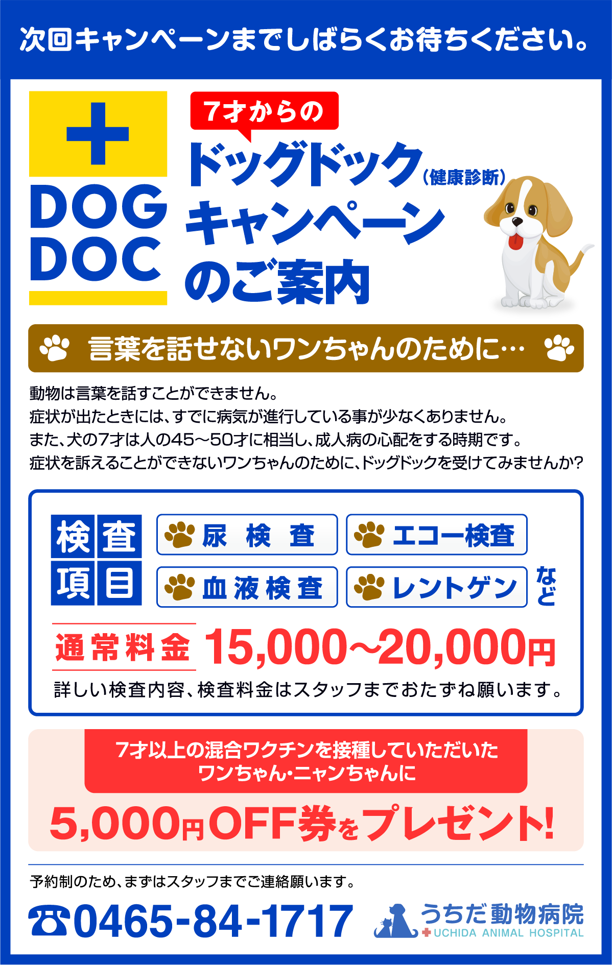 次回キャンペーンまでしばらくお待ちください。7才からのドッグドックキャンペーンのご案内(健康診断)