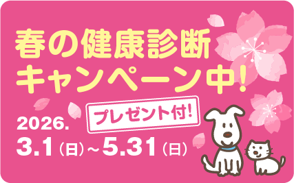 春の健康診断キャンペーン実施中